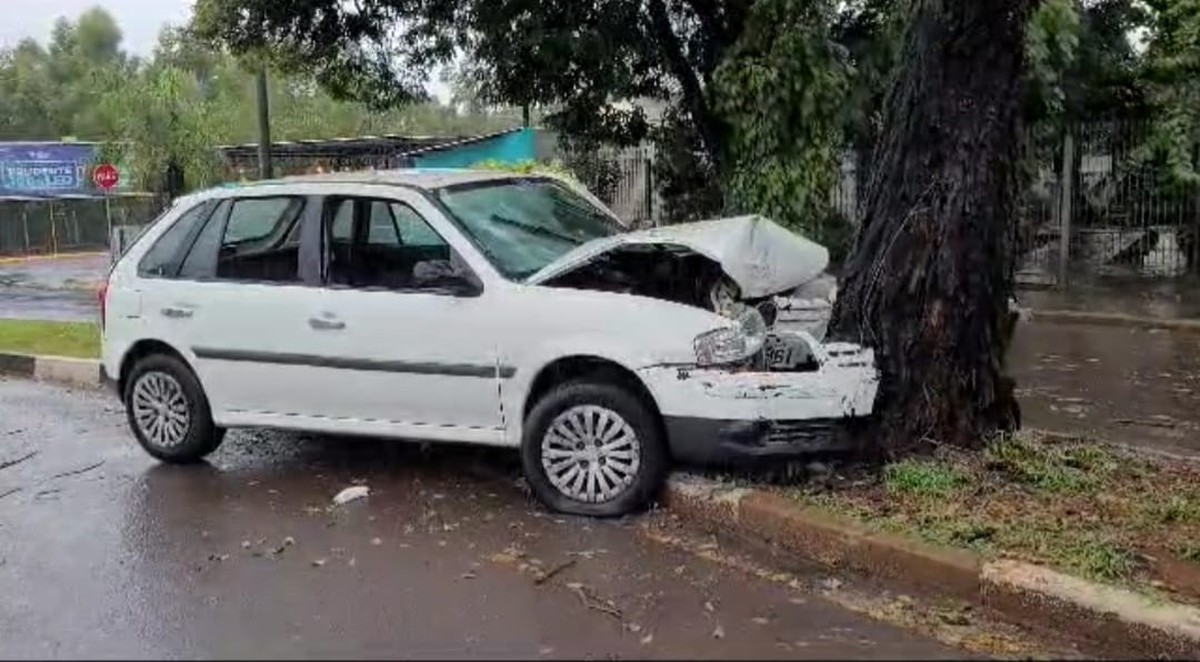 Mulher bate carro em árvore na Avenida Ana Jacinta, em Presidente Prudente