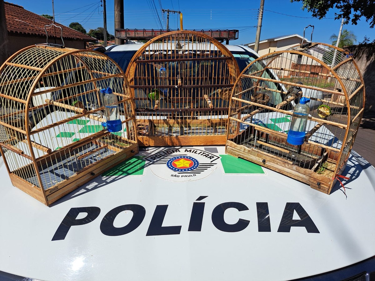 Homem é autuado em R$ 1,5 mil por manter três aves silvestres em cativeiro, em Pirapozinho