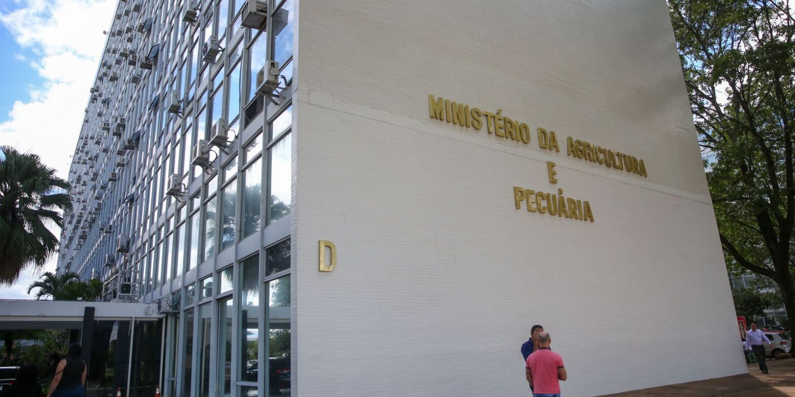 Minas Gerais registra primeiro caso de gripe aviária em pato