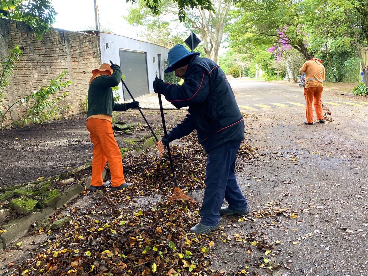 Prudenco intensifica trabalhos de coleta de folhas em Prudente | Especial Publicitário Prudenco – Companhia de Desenvolvimento