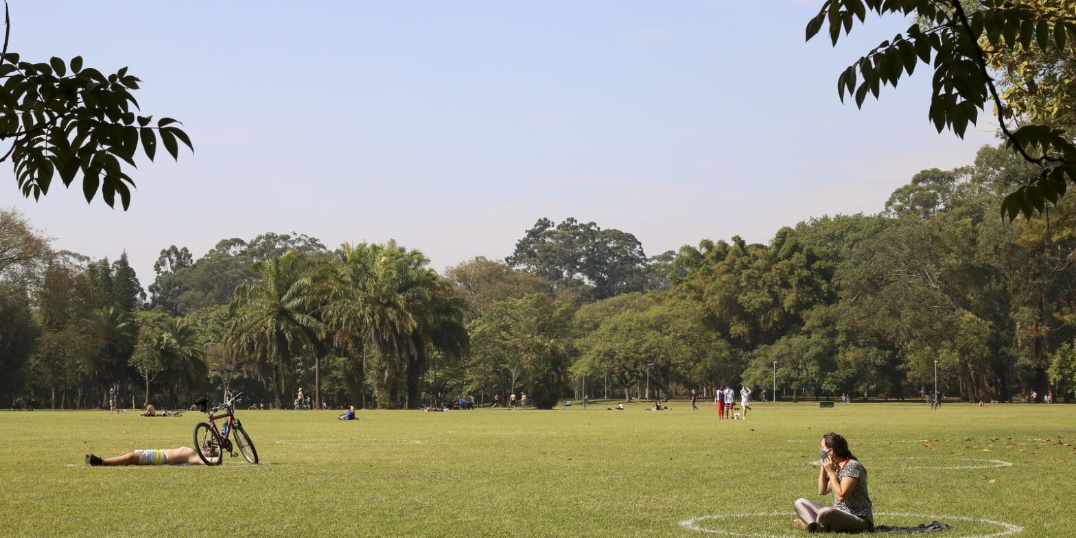 São Paulo celebra Semana do Meio Ambiente com atividades diversas