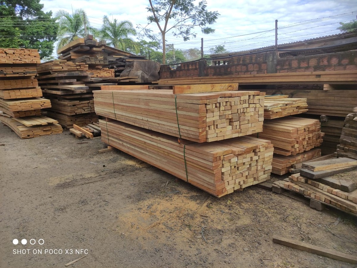 Após denúncia, empresa é multada em R$ 4,4 mil por receber madeiras sem licença, em Presidente Prudente