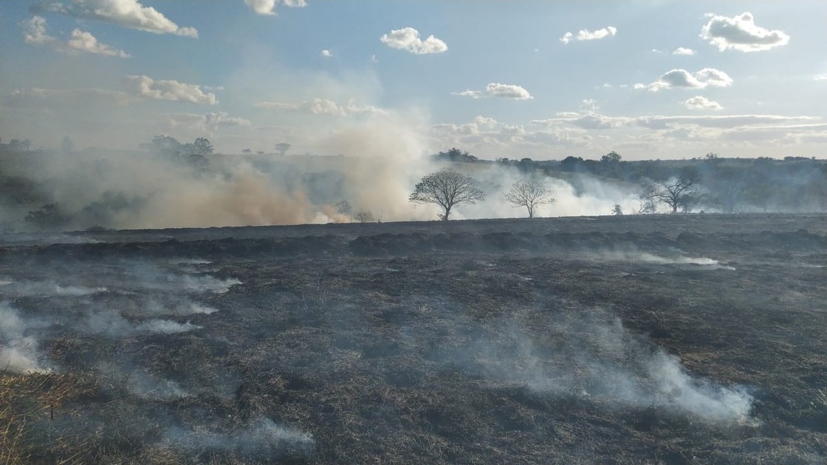 Incêndio atinge grande área de pastagem e vegetação, em Presidente Prudente | Presidente Prudente e Região