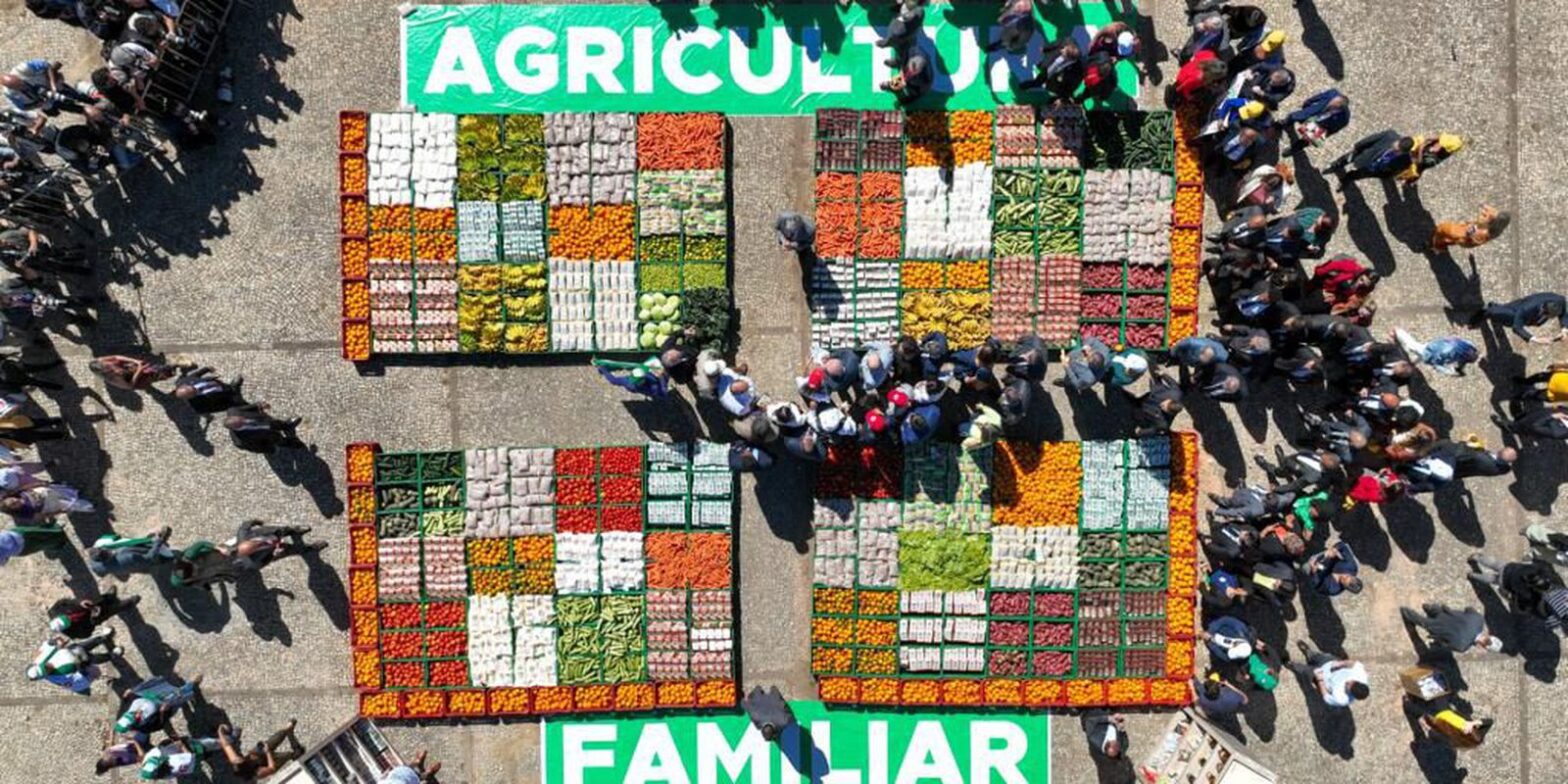 Programa de Aquisição de Alimentos é publicado no Diário Oficial