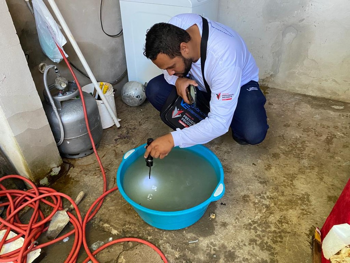 Vigilância Epidemiológica inicia levantamento de infestação do Aedes aegypti em 4.200 imóveis em Presidente Prudente