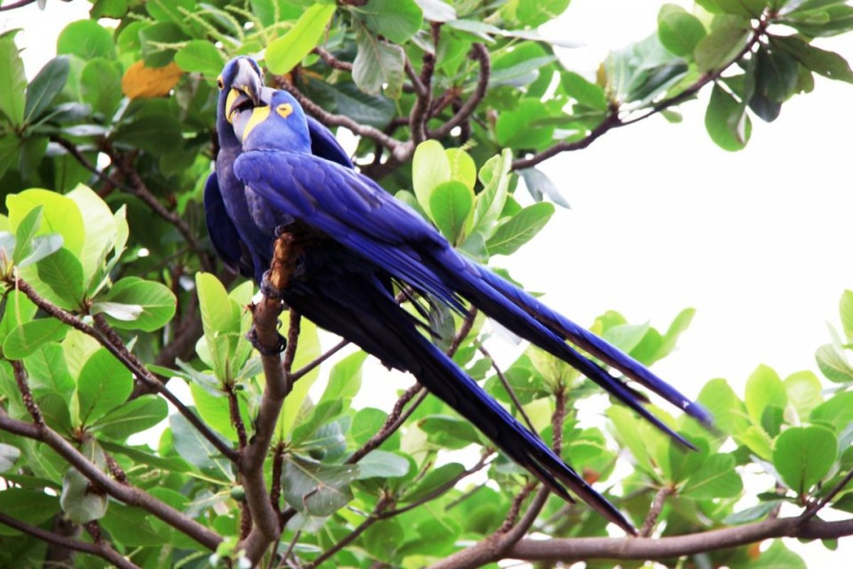 Exposição 'Retratos do Brasil', no Centro Cultural Matarazzo, apresenta registros de fotógrafa que viajou por 19 estados