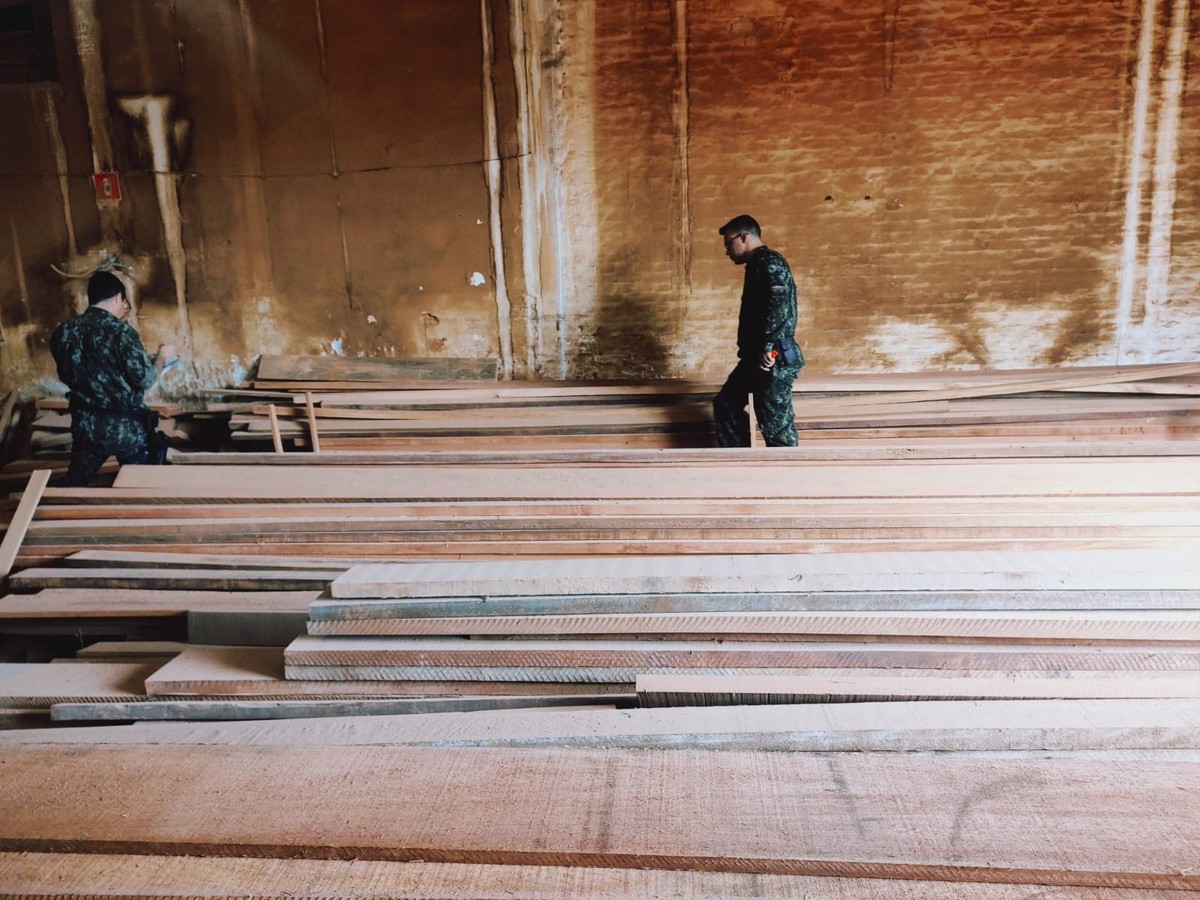 Empresa é multada em R$ 18,5 mil por vender e armazenar madeira sem documentação, em Osvaldo Cruz