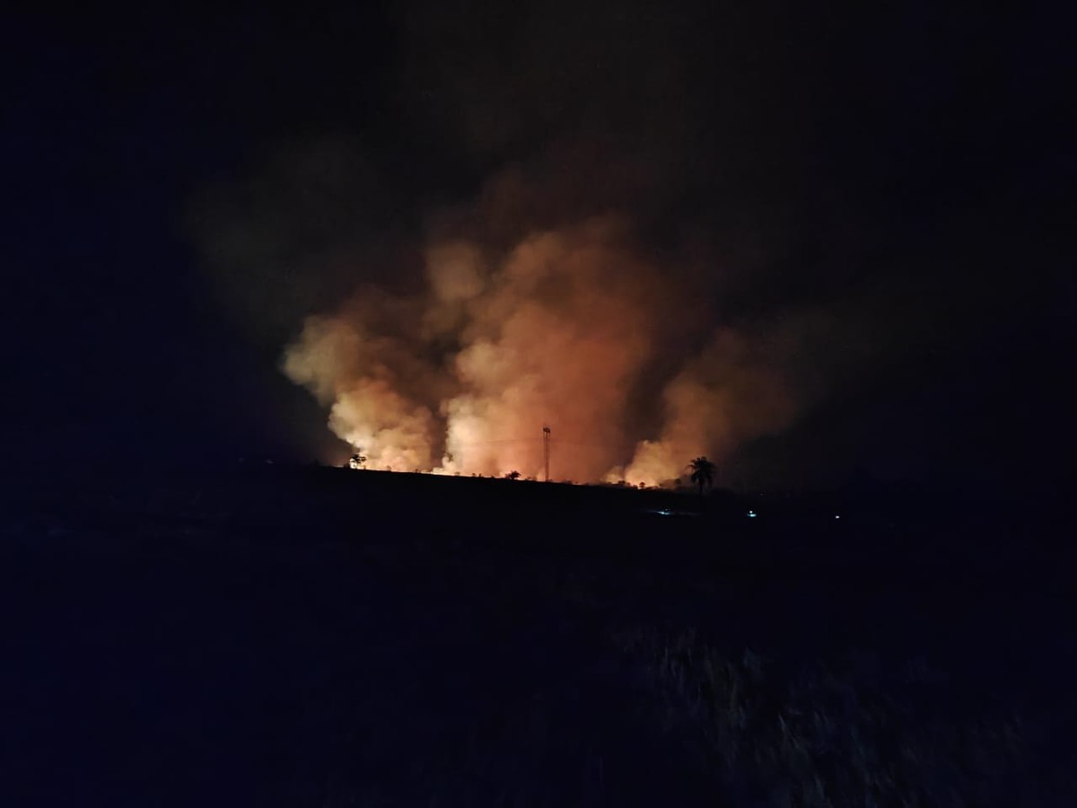 Incêndio destrói área de vegetação de 121 hectares entre Euclides da Cunha Paulista, Rosana e Teodoro Sampaio