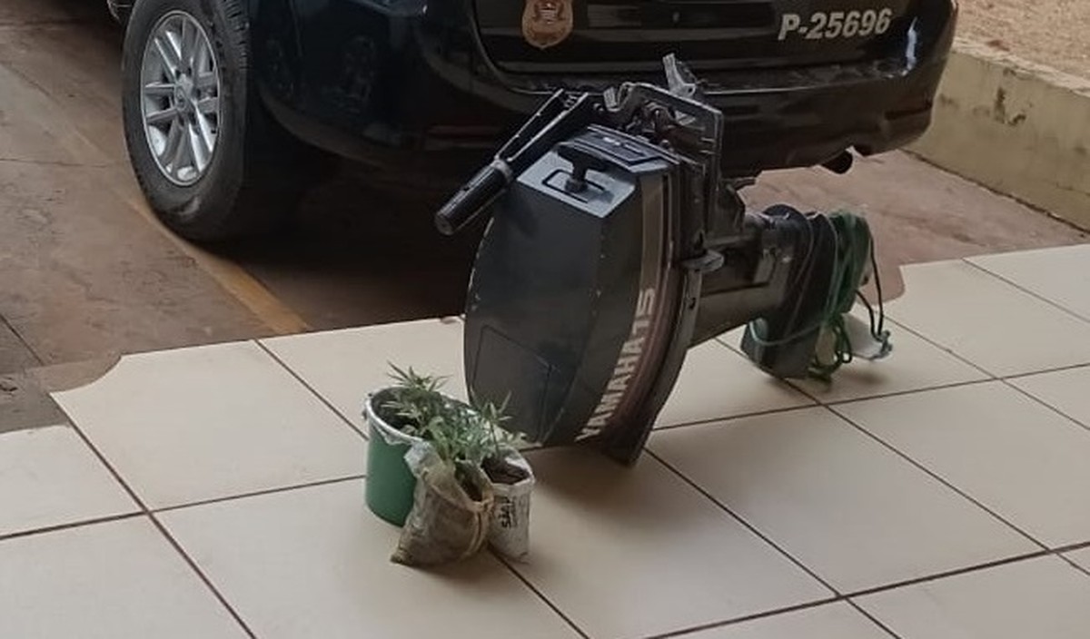 Dupla é presa em flagrante após furtar motor de popa, em Panorama; pés de maconha também são apreendidos