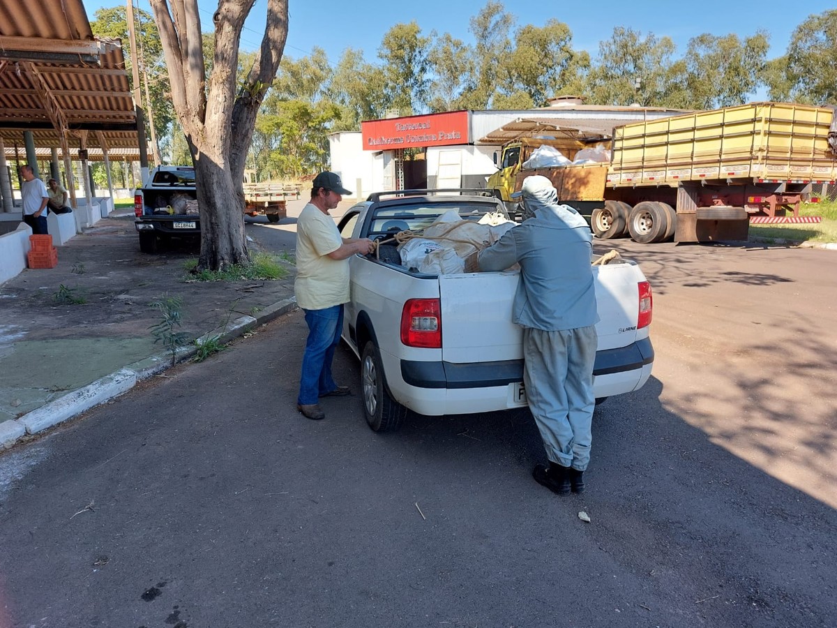 Ação itinerante recebe embalagens vazias de defensivos agrícolas no Recinto de Exposições Jacob Tosello, em Presidente Prudente | Presidente Prudente e Região