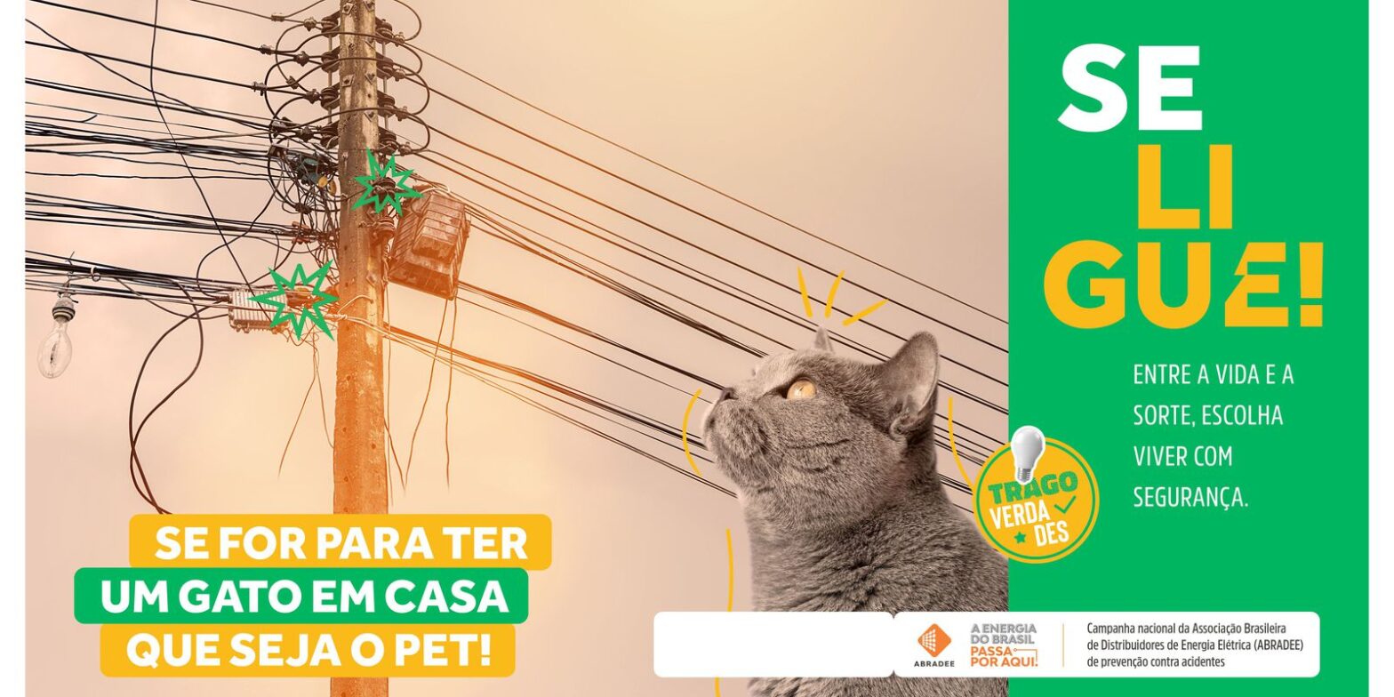 Agosto Vermelho busca conscientizar sobre acidentes com rede elétrica