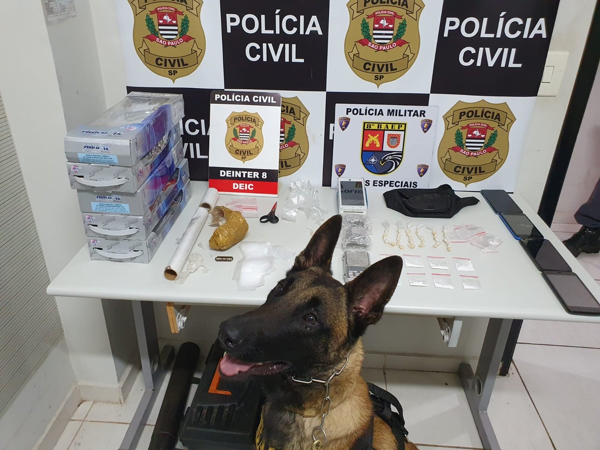 Com apoio de cão farejador, Polícia Civil apreende 39 porções de crack e maconha, em Presidente Prudente | Presidente Prudente e Região