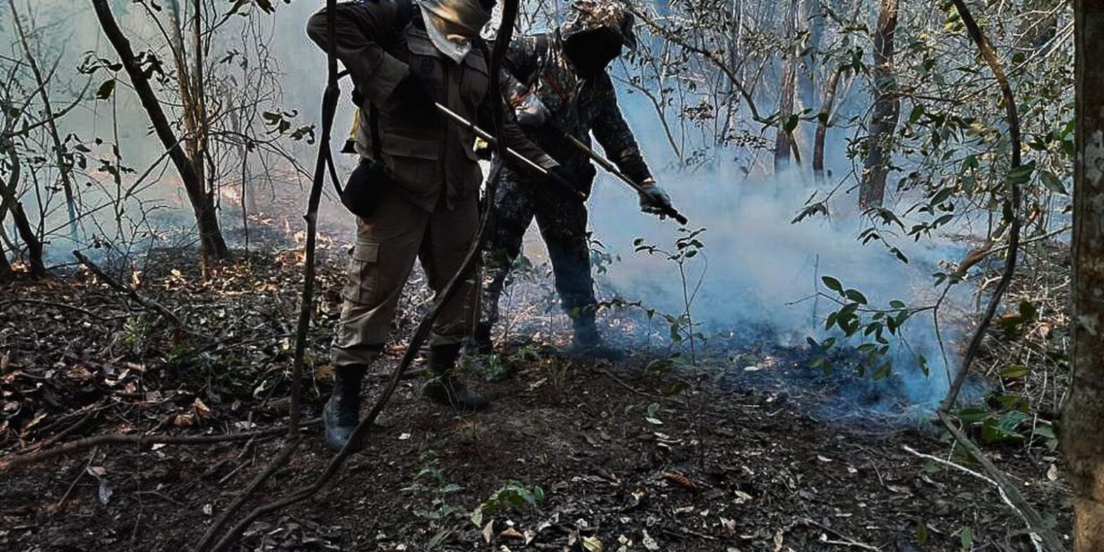 Incêndios queimaram 30% de área do Pantanal em 2020, mostra estudo