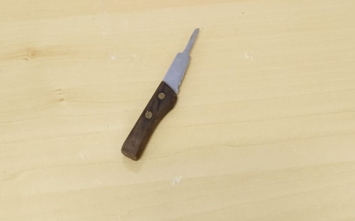 Suspeito de invadir residência e estuprar menina de 12 anos diz não se lembrar do que aconteceu porque consumiu ‘muito álcool e drogas’ | Presidente Prudente e Região