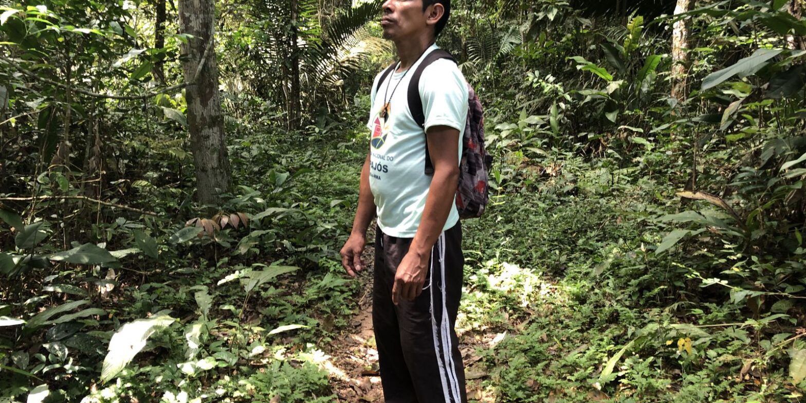 No Dia da Amazônia, organizações alertam sobre preservação do bioma