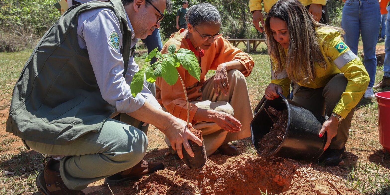 MMA quer evitar licença ambiental de longo prazo no Cerrado