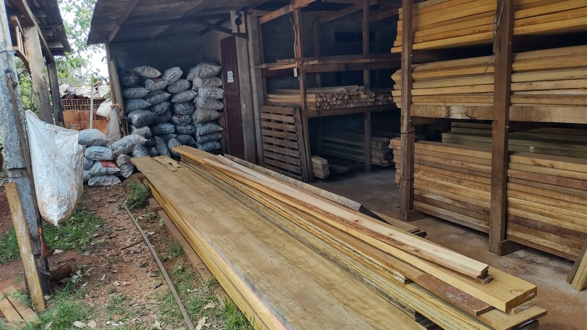 Madeireira é multada em mais de R$ 13,7 mil por irregularidades com documento de origem florestal, em Iepê