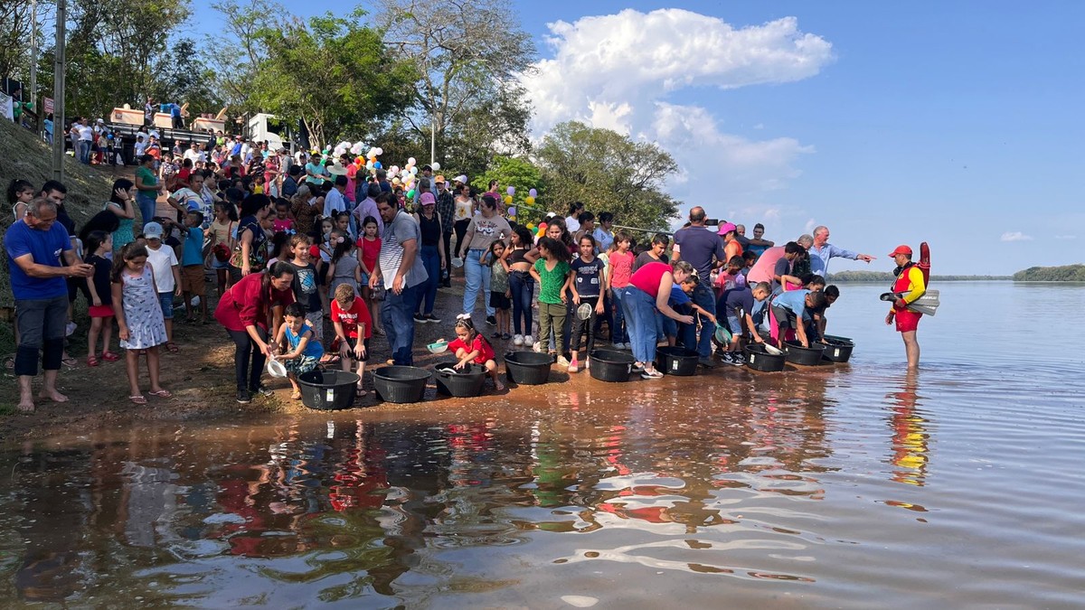 Alunos de escolas municipais de Rosana soltam 50 mil peixes no Rio Paraná, no distrito de Porto Primavera