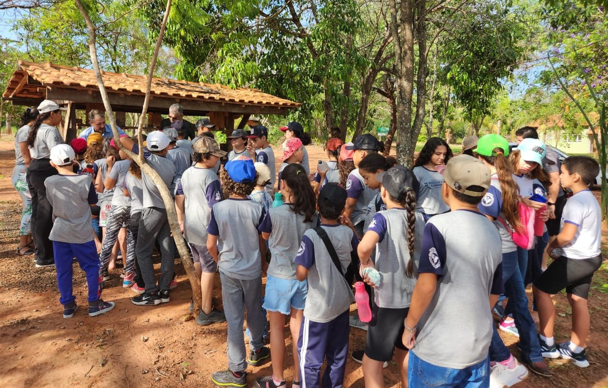 Dia da Árvore é celebrado com plantio de mudas e ações de conscientização às margens do Rio Paraná, em Presidente Epitácio