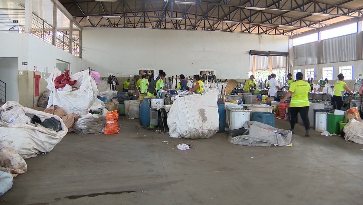 'Não temos mais como trabalhar', desabafa diretor da Cooperlix, em meio a atraso no repasse de verba da Prefeitura de Presidente Prudente para reciclagem de lixo