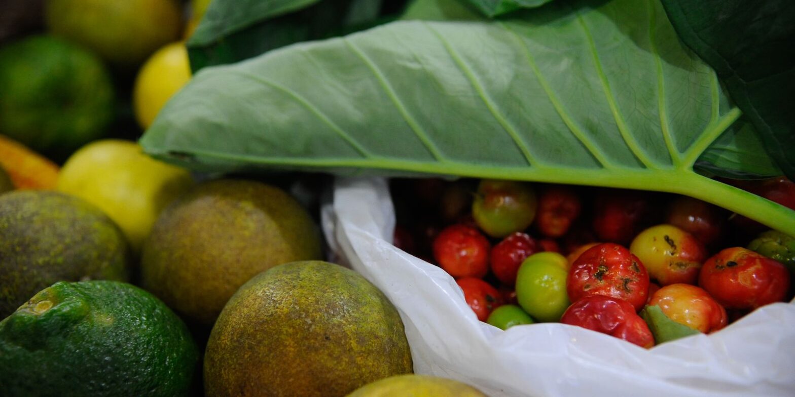 Conferência Nacional de Segurança Alimentar será em dezembro