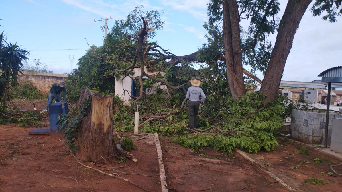 Ventos fortes derrubam árvores e postes no distrito de Jaciporã, em Dracena