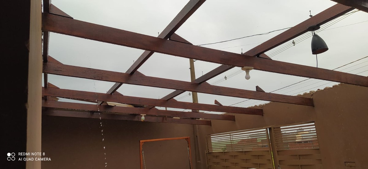 Temporal danifica 20 casas e derruba árvores, em Narandiba