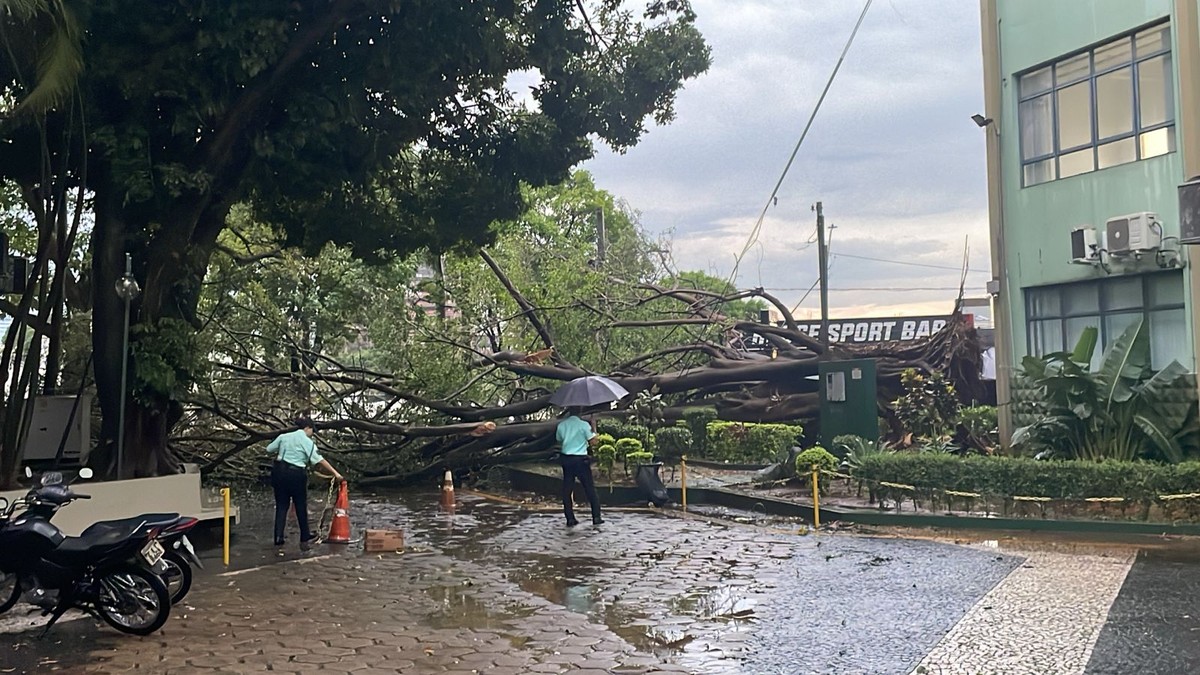 Com rajadas de vento de mais de 60km/h, temporal causa estragos na região de Presidente Prudente | Presidente Prudente e Região