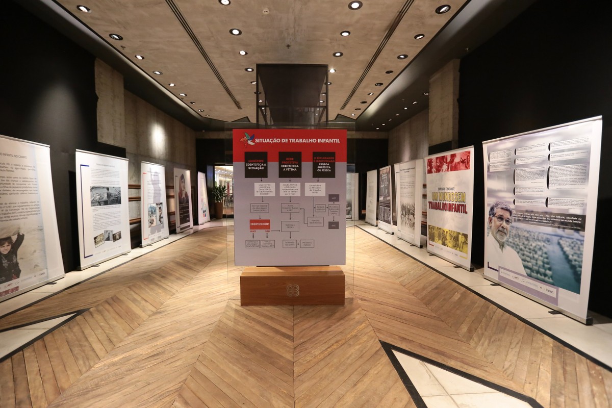 Exposição ‘Um mundo sem trabalho infantil’ retrata formas de exploração ilegal da mão de obra de crianças e adolescentes, em Presidente Prudente | Presidente Prudente e Região