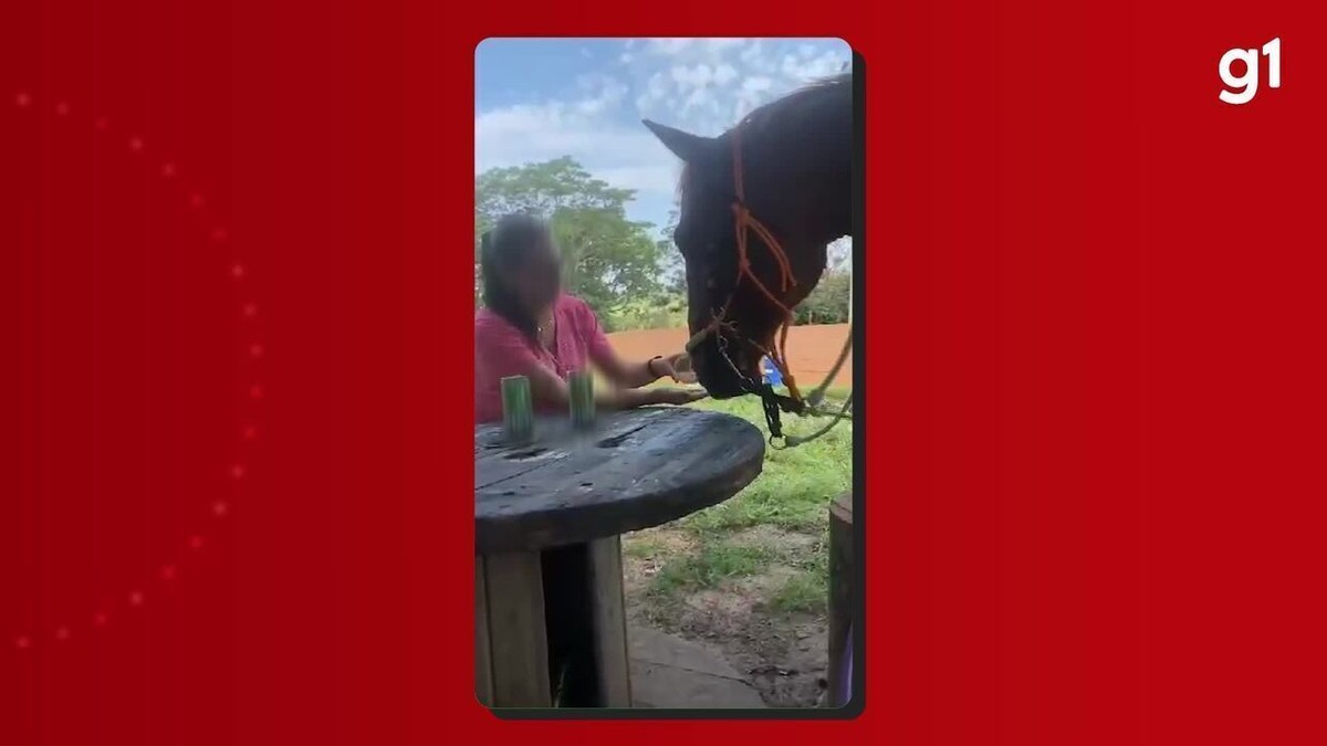 Mulher grava vídeo dando cerveja a cavalo e acaba multada em R$ 3 mil por maus-tratos, em Pirapozinho; veja a cena | Presidente Prudente e Região