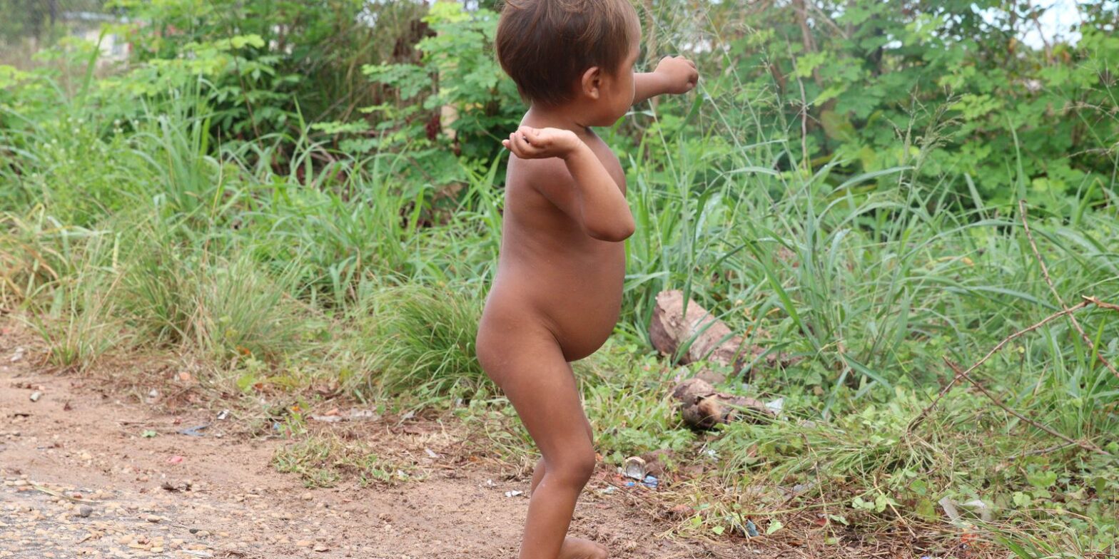 PF investiga desvios de medicamentos destinados aos Yanomami