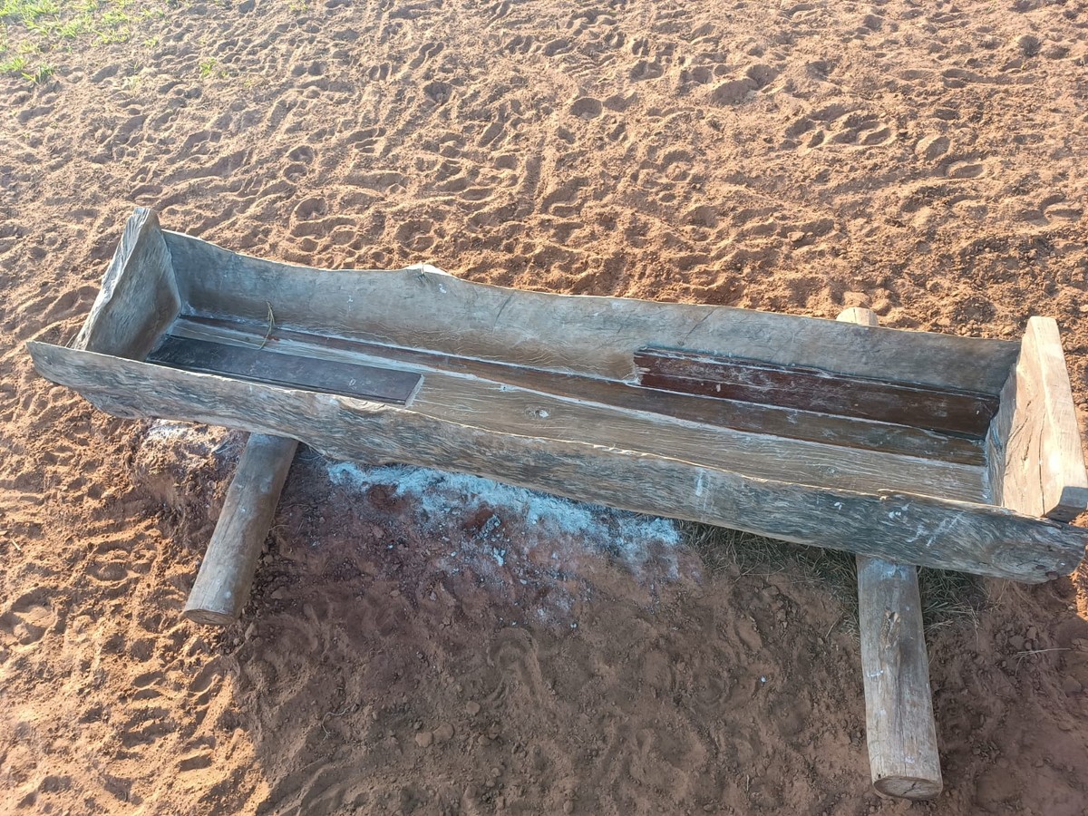 Pecuarista leva multa de quase R$ 400 mil por maus-tratos a rebanho bovino em propriedade rural em Álvares Machado