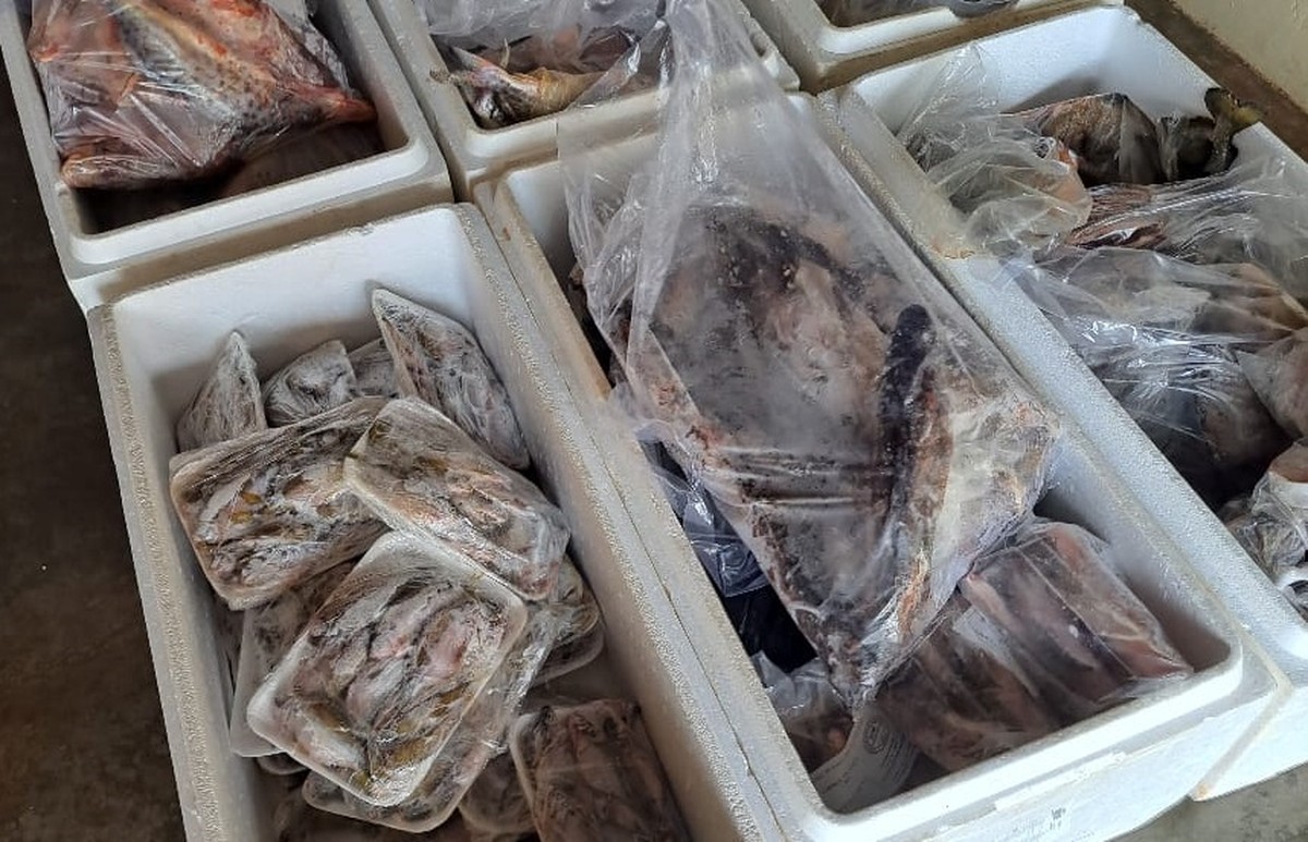 Peixaria é multada em R$ 3,5 mil por falta de declaração de estoque, em Presidente Prudente