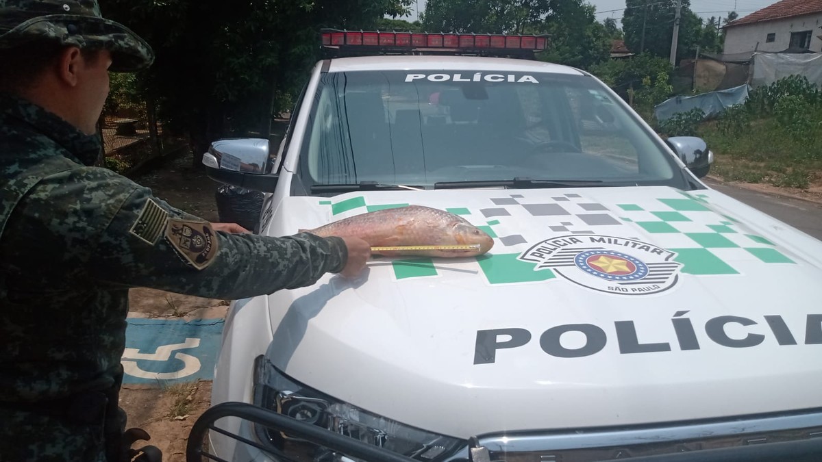 Pescador é multado por não declarar estoque de piauçus que capturou para consumo próprio