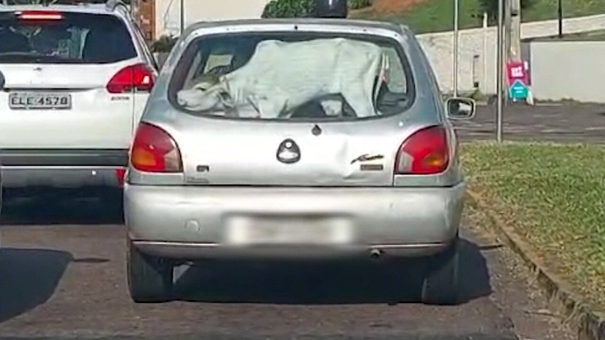 Polícia Ambiental identifica motorista que colocou bezerro no porta-malas de carro de passeio; homem vai levar multa de R$ 3 mil e ainda responder por crime | Presidente Prudente e Região