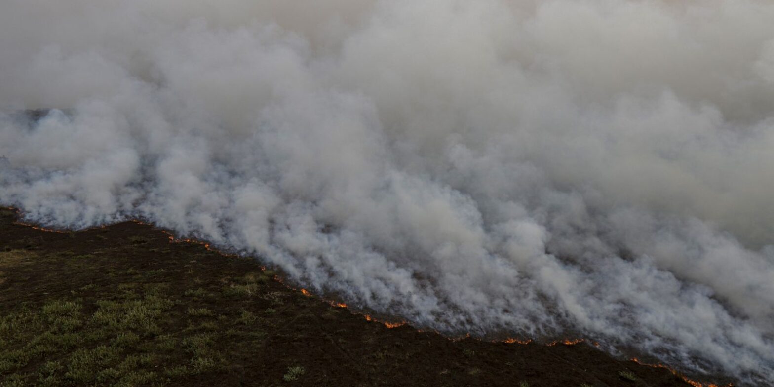 Brigadistas intensificam trabalho de combate a incêndios no Pantanal