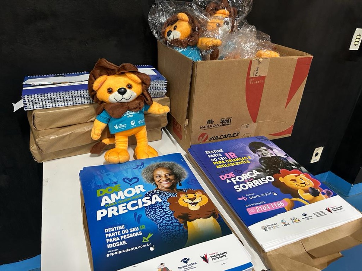 Gepac e Gepai lançam campanha para destinar Imposto de Renda a entidades que atendem crianças e idosos em Presidente Prudente | Presidente Prudente e Região