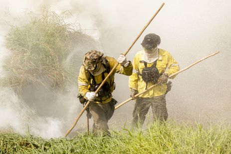 Porto Jofre (MT) 16/11/2023 –Brigadistas do ICMBIO combatem incêndio florestal que atinge o Pantanal
Foto: Joédson Alves/Agência Brasil