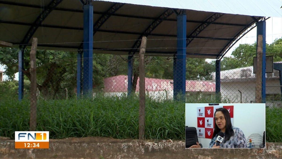 Problemas com escorpião e mato alto preocupam mães de alunos da rede municipal de ensino, em Presidente Prudente