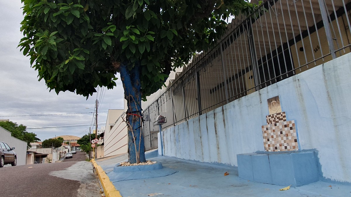 Com multa de mais de R$ 900, nova lei dispõe sobre plantio, poda e supressão de árvores em Presidente Prudente