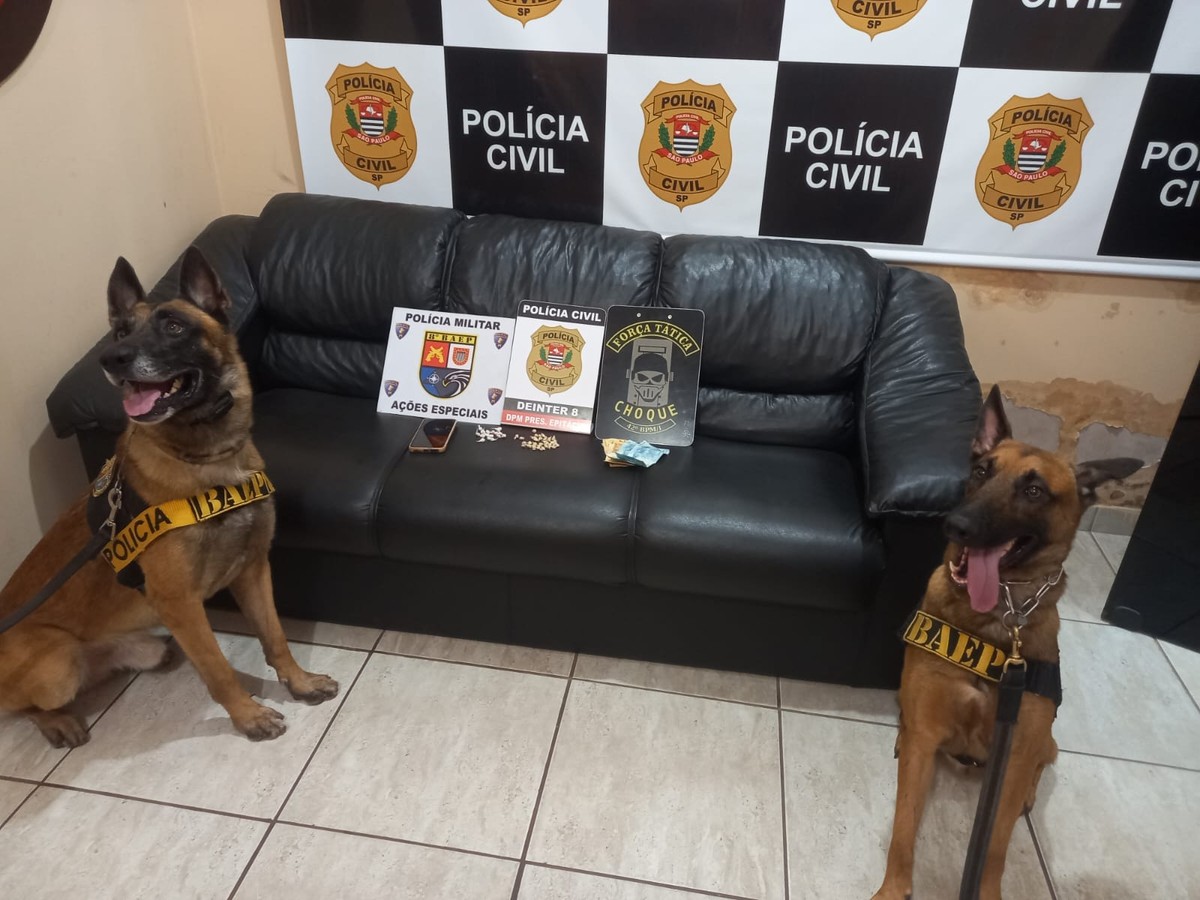 Operação Sweep II prende traficante com faturamento semanal de R$ 90 mil com venda de drogas no Oeste Paulista | Presidente Prudente e Região