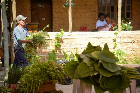 Rio de Janeiro (RJ), 19/12/2023 - Agricultores do Quilombo Dona Bilina, em Campo Grande, na Zona Oeste do Rio, preparam sua produção para entrega ao Programa de Aquisição de Alimentos (PAA). Foto: Tomaz Silva/Agência Brasil