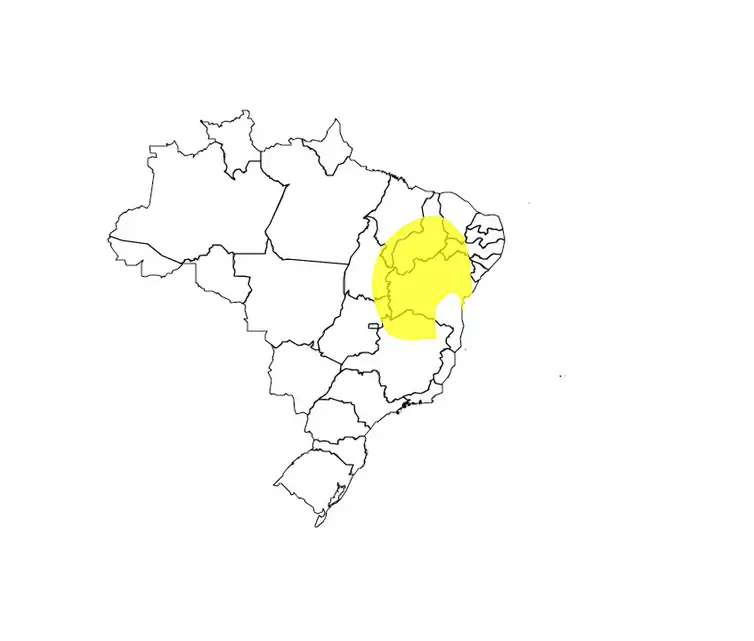 Brasília (DF) 22/11/2024 - Inmet prevê chuva volumosa em todo o Nordeste até sexta-feira
Mapa ALERT-AS/Divulgação