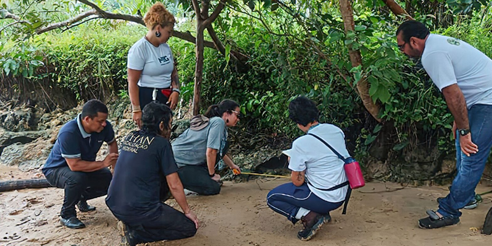 Quatro novos sítios arqueológicos são descobertos em Marajó, no Pará