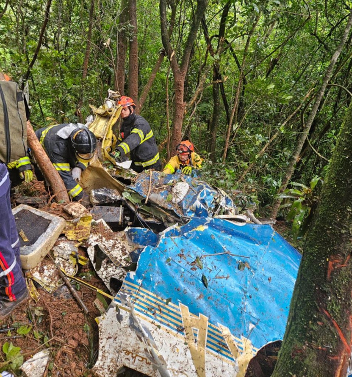 Avião de pequeno porte cai e deixa dois mortos na Grande SP | São Paulo