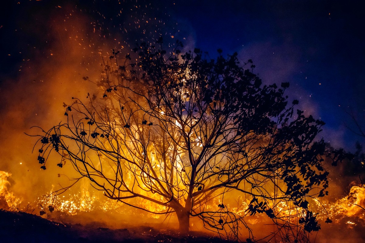 Exposição fotográfica incentiva a habilidade de ‘olhar e sentir’ com toques de reflexão, crítica e criatividade, em Presidente Prudente | Presidente Prudente e Região