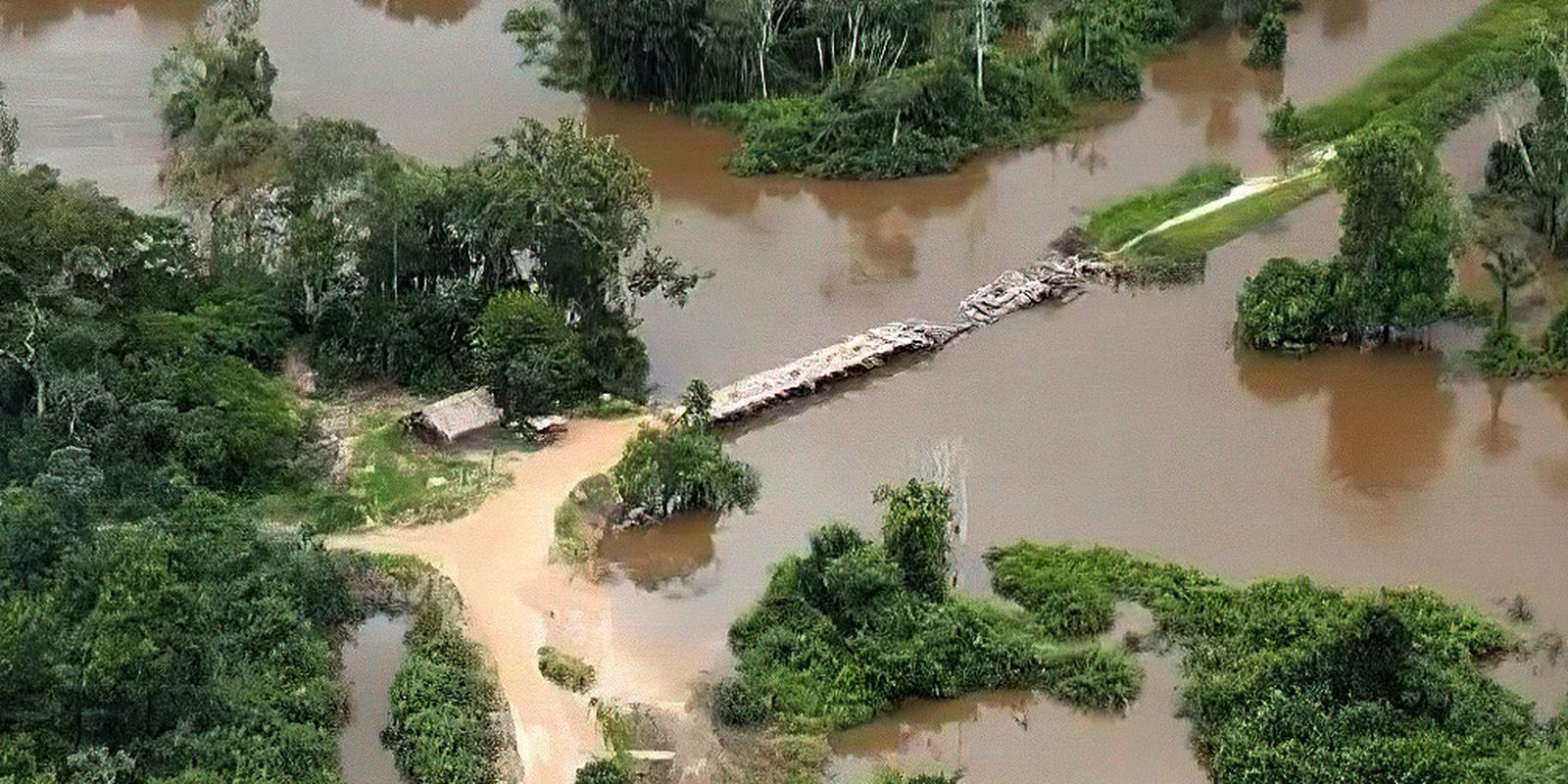 Polícia Federal destrói ponte em terra indígena no Pará