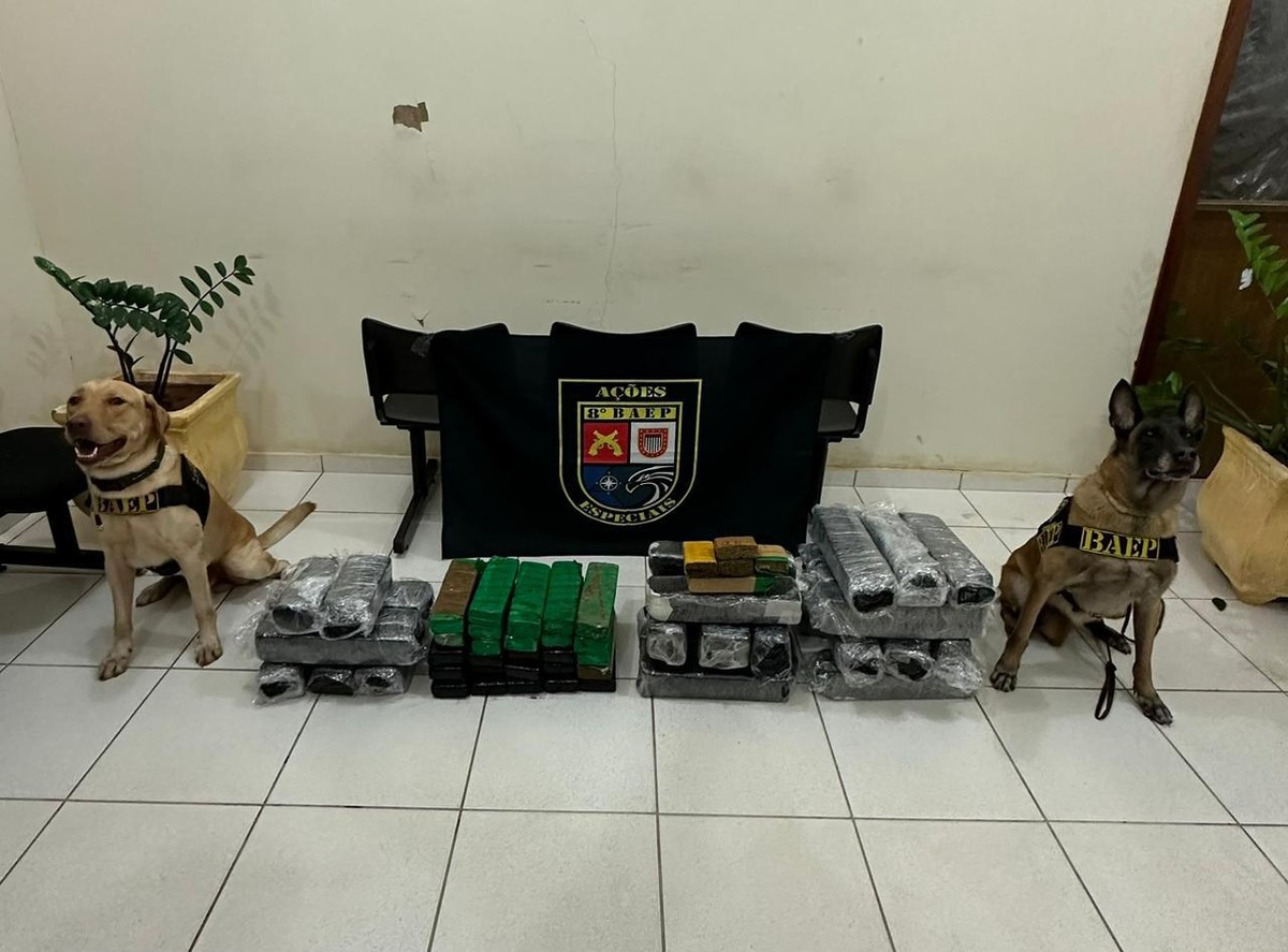 Fiscalização prende quatro pessoas com mais de 80 quilos de maconha em Presidente Bernardes