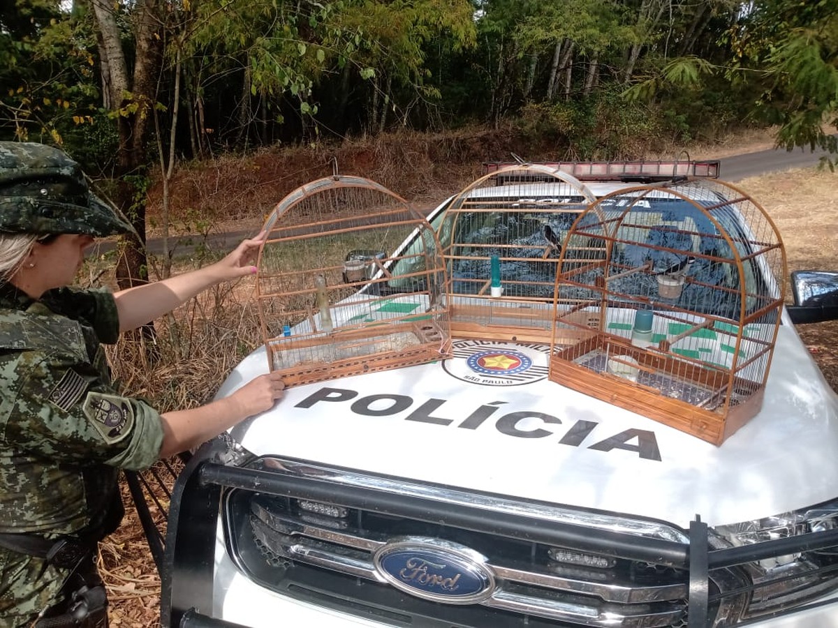 Idoso é multado em R$ 1,5 mil e deverá responder criminalmente por manter aves silvestres em cativeiro, em Salmourão