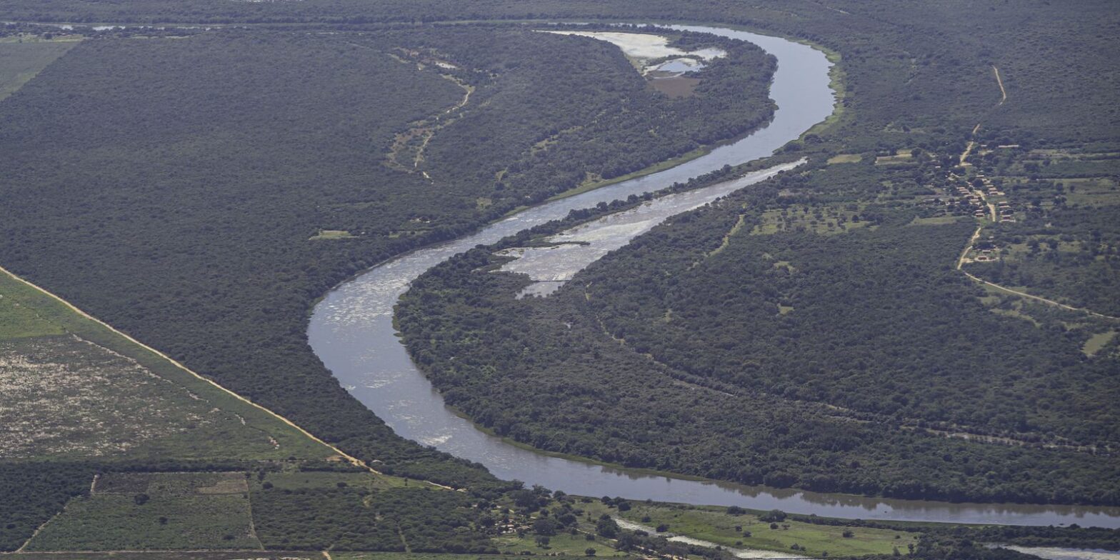 Brasil detém só 18% de patentes sobre flora endêmica da Mata Atlântica